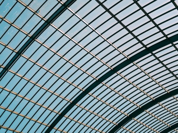 Shot of curved glass ceiling/roof.